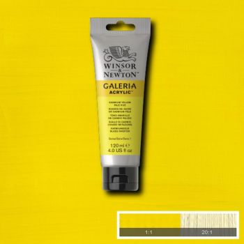 WN Cadmium Yellow Pale Hue 114