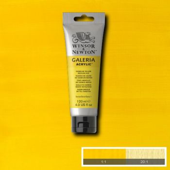 WN Cadmium Yellow Medium Hue 120