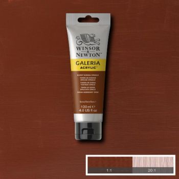 WN Burnt Sienna Opaque 077