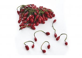 Tuotekuva