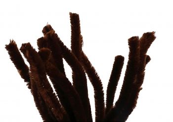 Tummanruskea