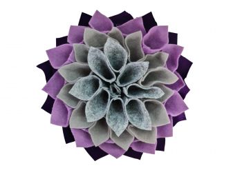 Violetti